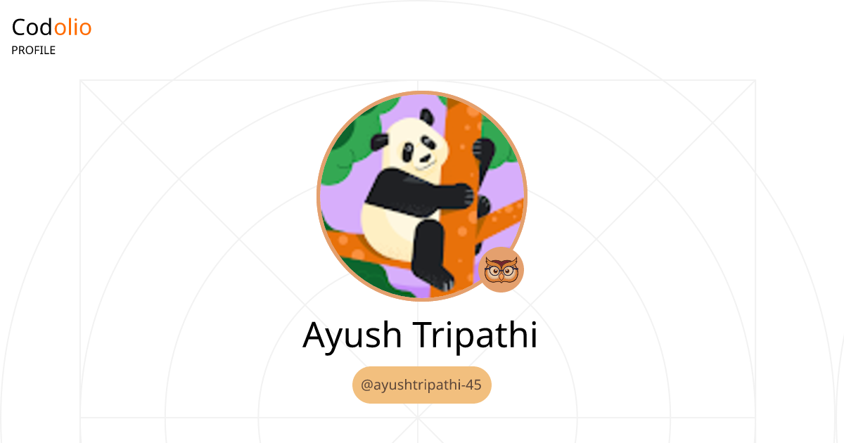ayushtripathi-45 | Codolio